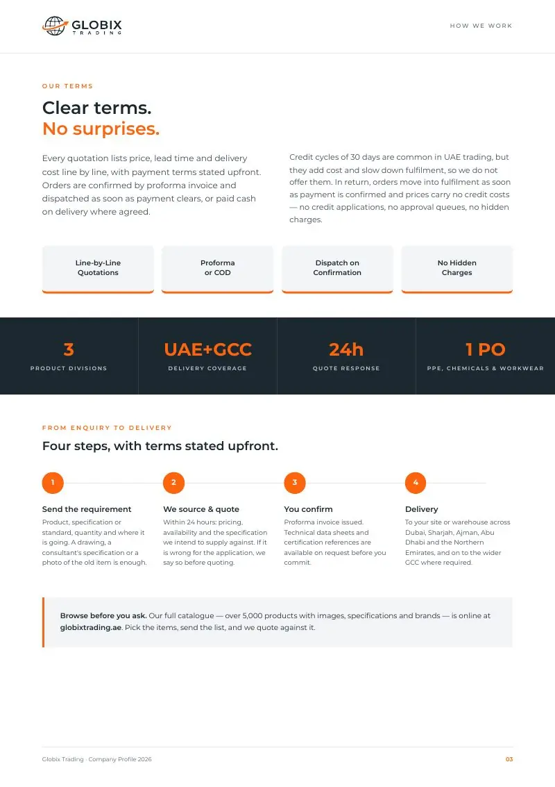 Globix company profile page: clear terms and the four-step process